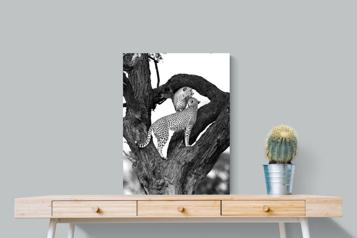 Pixalot ® Cheetahs in a Tree