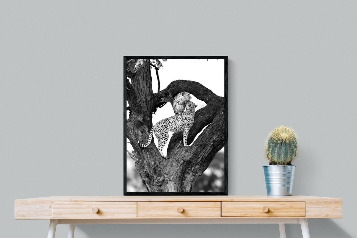 Pixalot ® Cheetahs in a Tree