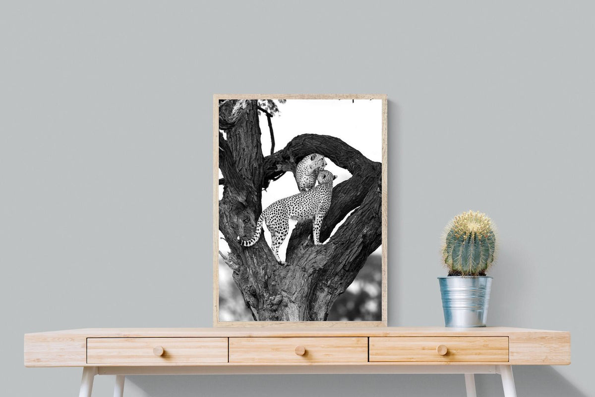 Pixalot ® Cheetahs in a Tree