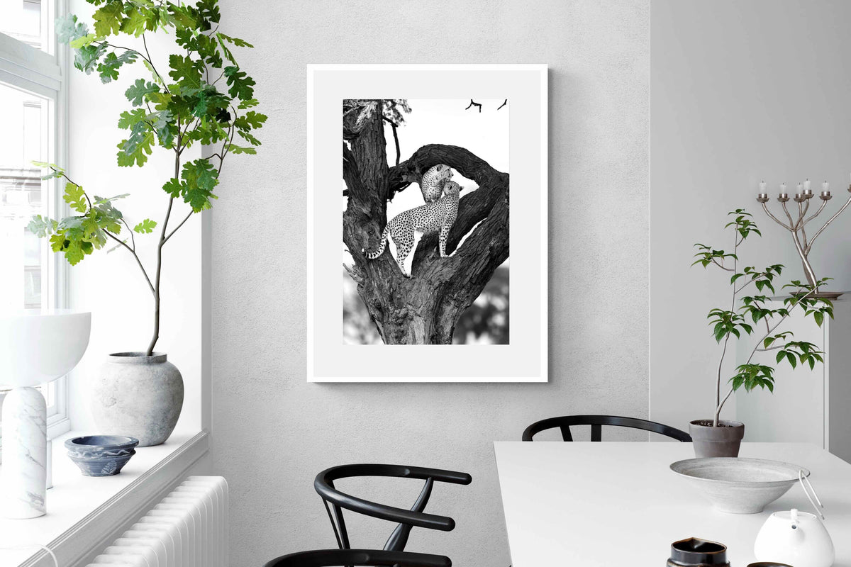 Pixalot ® Cheetahs in a Tree