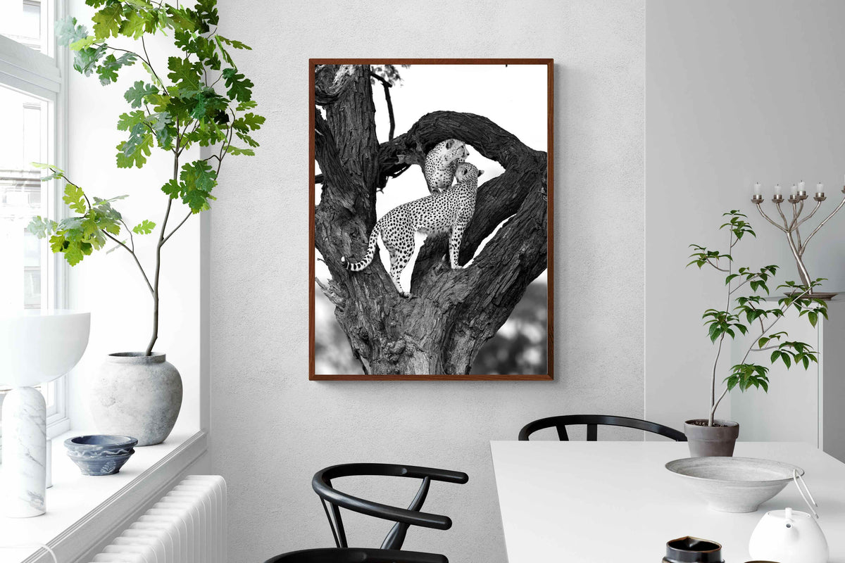 Pixalot ® Cheetahs in a Tree