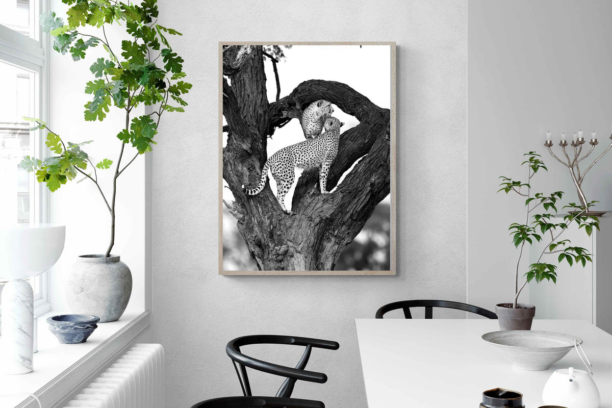 Pixalot ® Cheetahs in a Tree