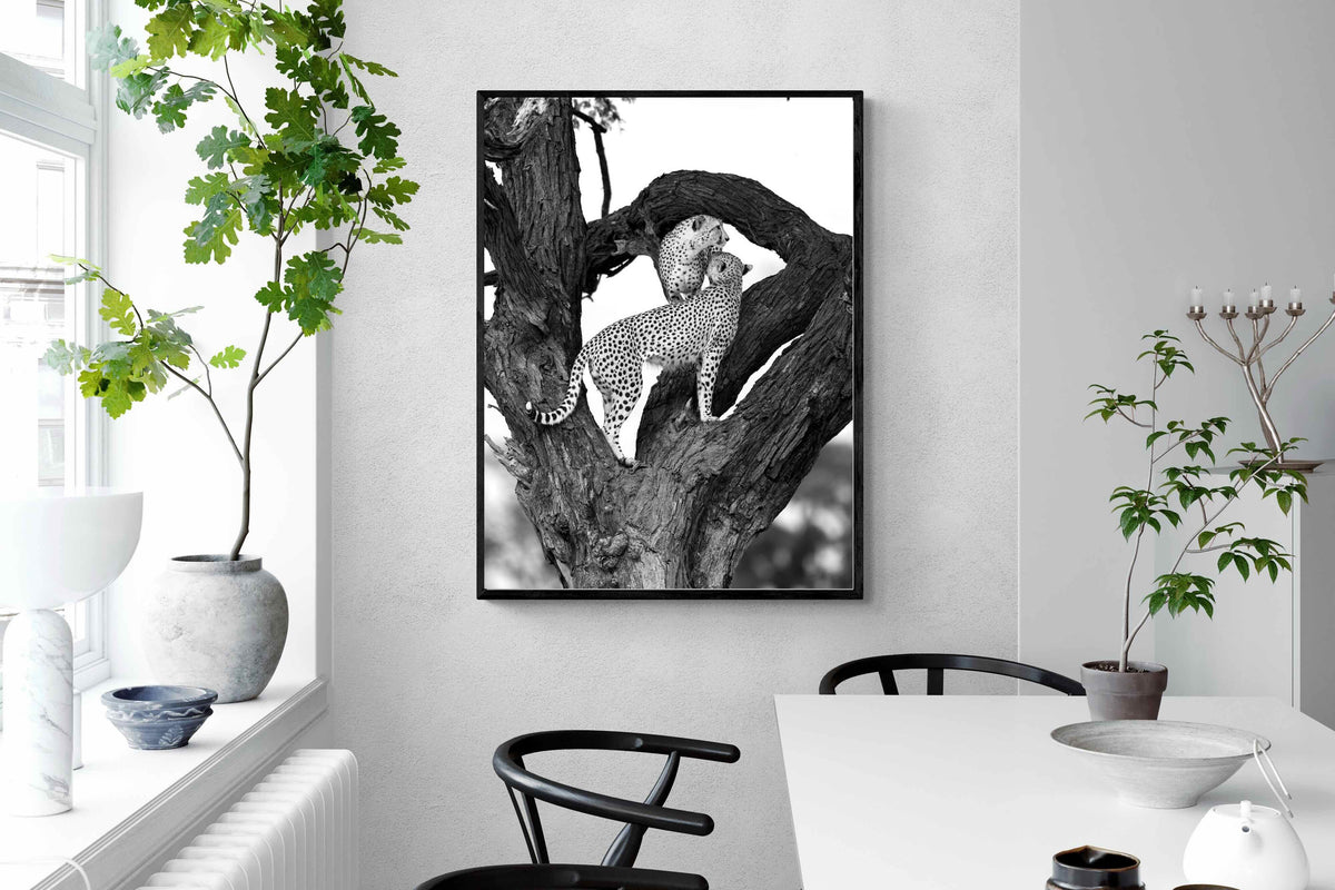 Pixalot ® Cheetahs in a Tree