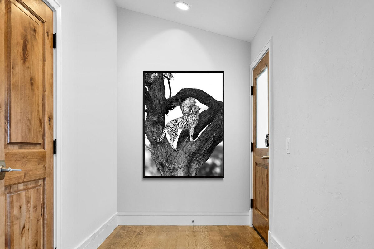 Pixalot ® Cheetahs in a Tree