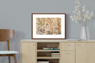 Pixalot ® Chinoiserie