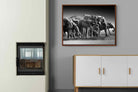 Pixalot ® Chobe Elephants