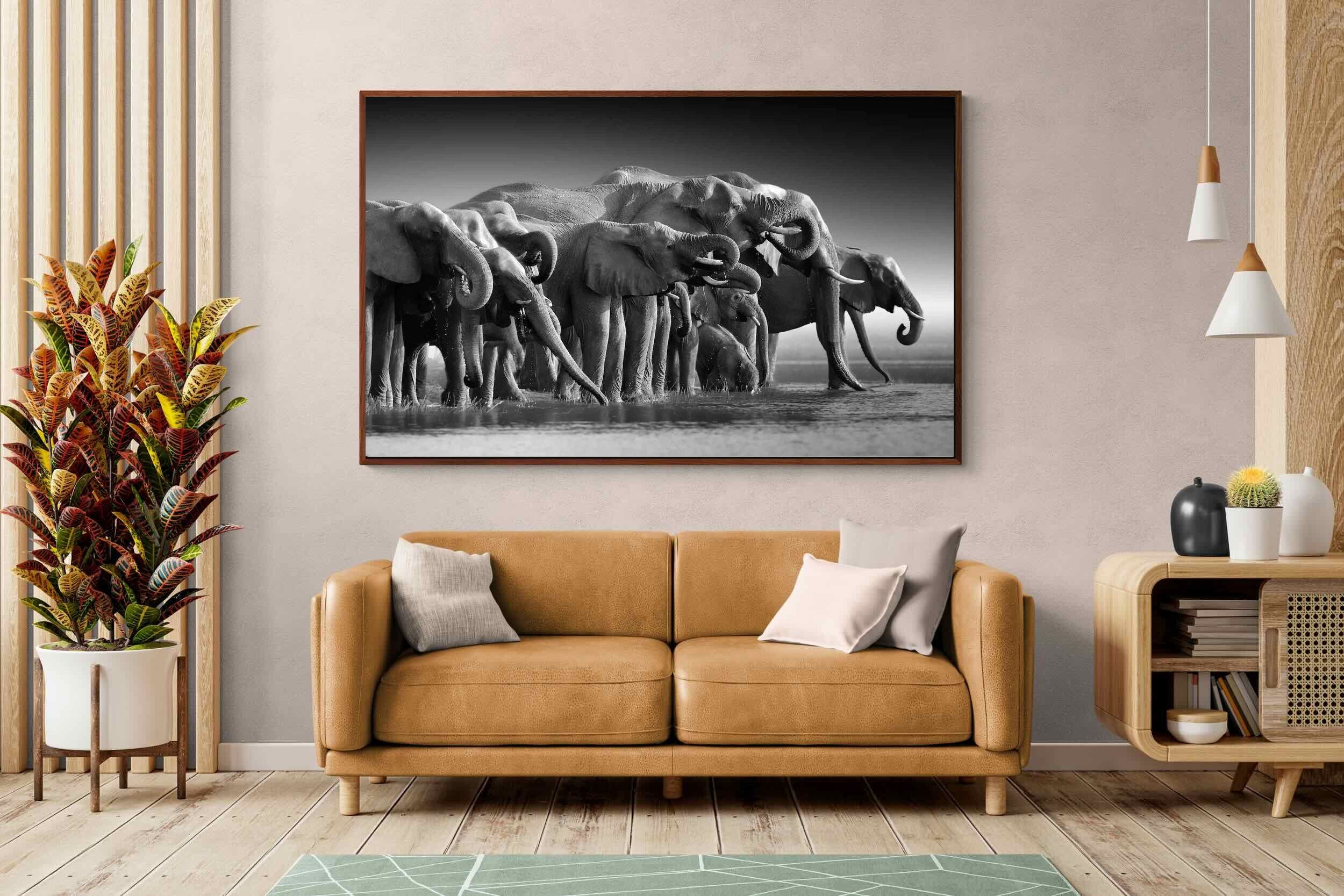 Pixalot ® Chobe Elephants