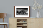 Pixalot ® Chobe Elephants