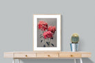 Pixalot Chrysanthemums