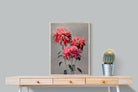 Pixalot Chrysanthemums