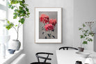 Pixalot Chrysanthemums
