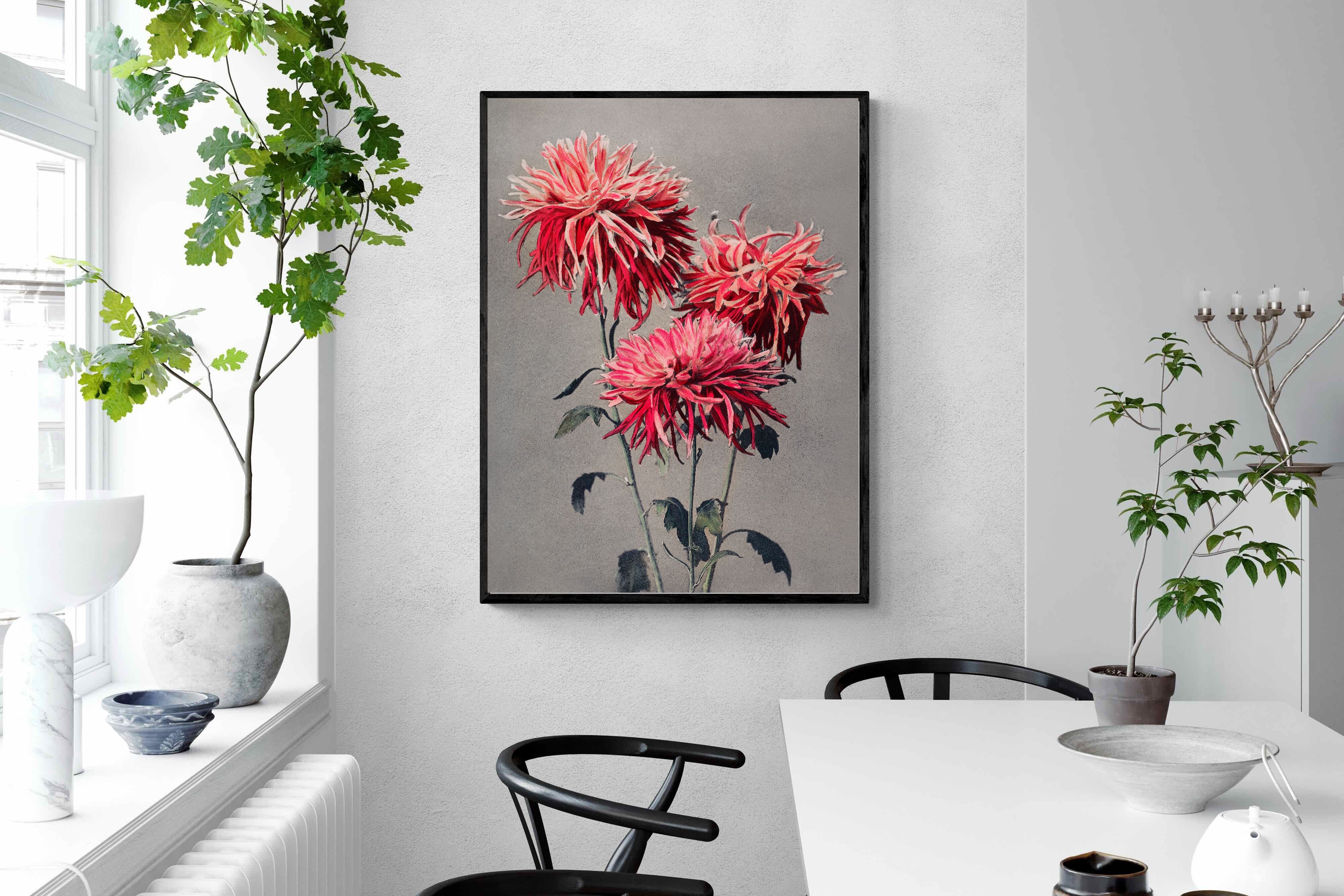 Pixalot Chrysanthemums