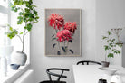 Pixalot Chrysanthemums