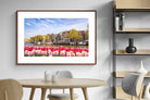 Pixalot City Tulips
