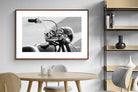 Pixalot ® Classic Bike