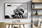 Pixalot ® Classic Bike