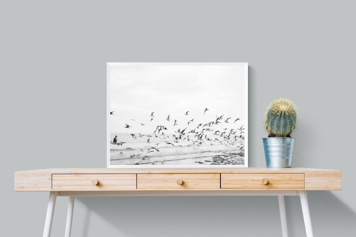 Pixalot ® Coastal Flight