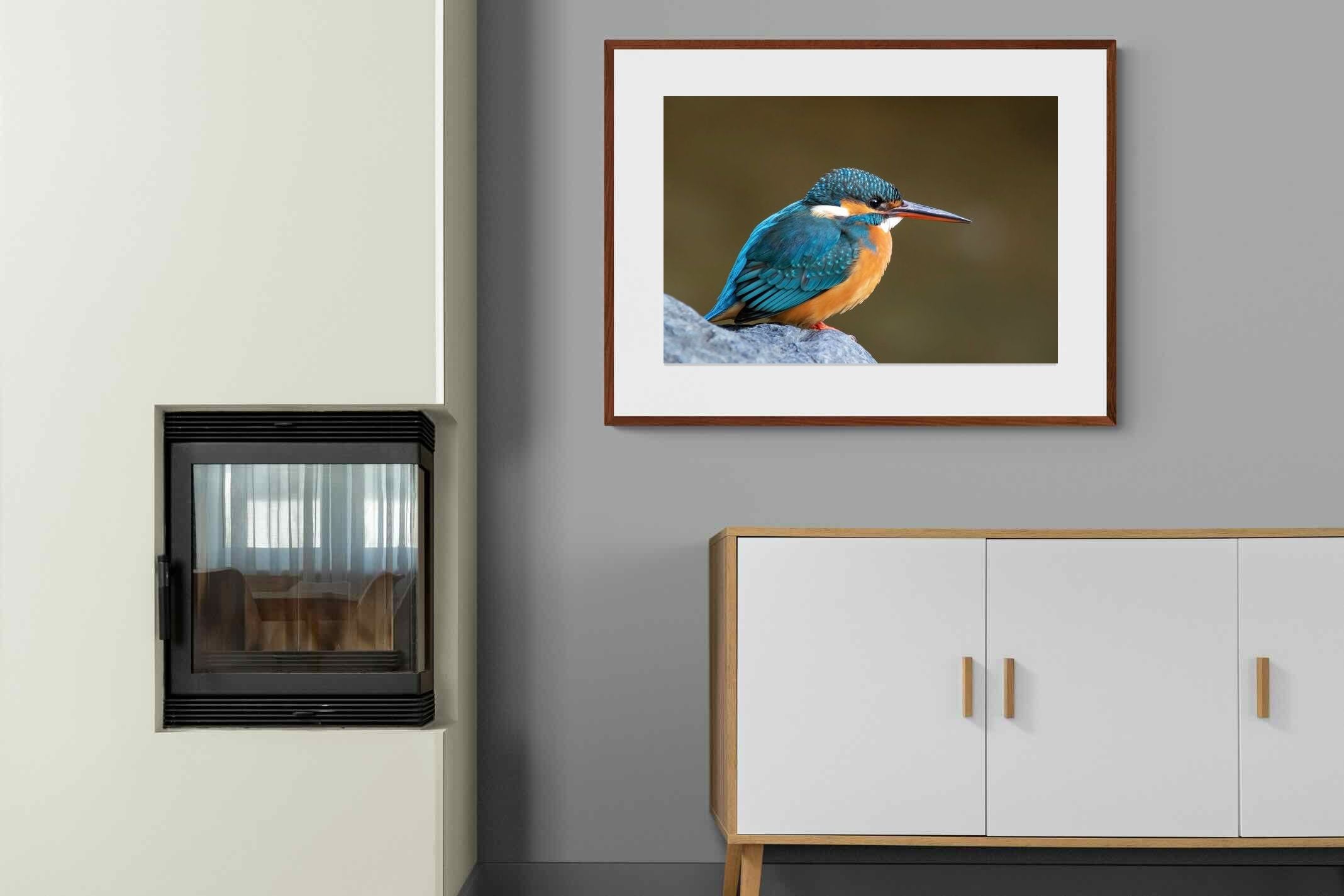 Pixalot Common Kingfisher