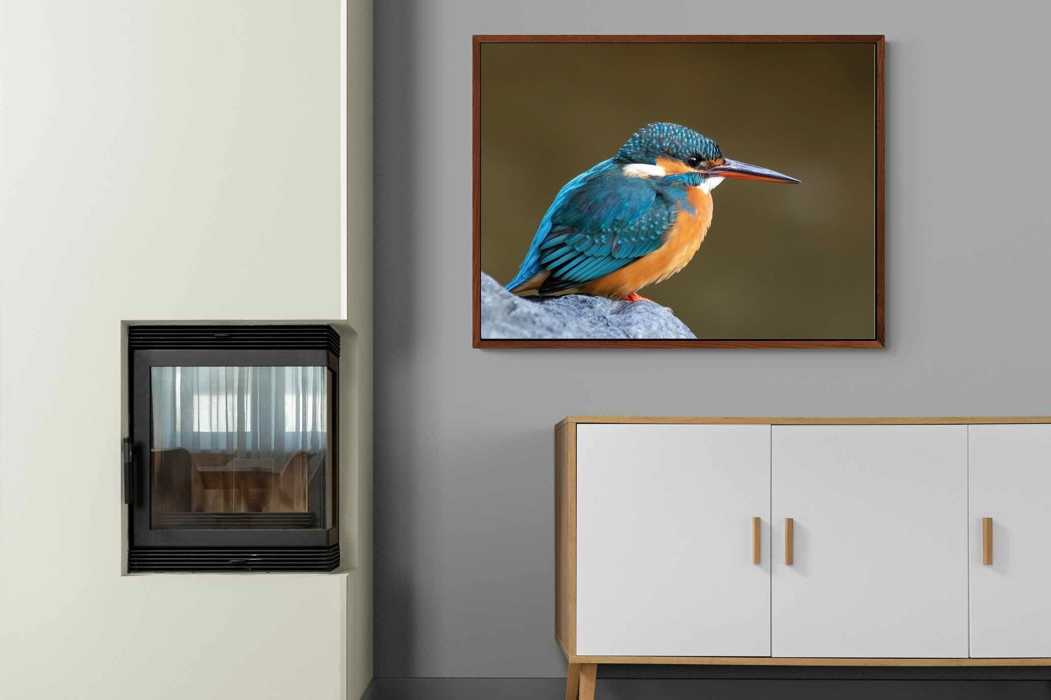 Pixalot Common Kingfisher