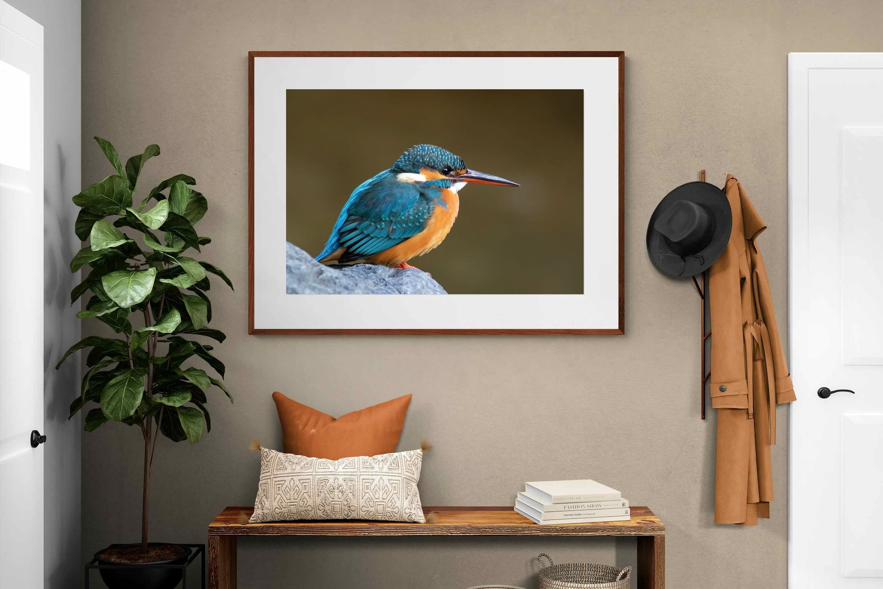 Pixalot Common Kingfisher