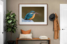 Pixalot Common Kingfisher