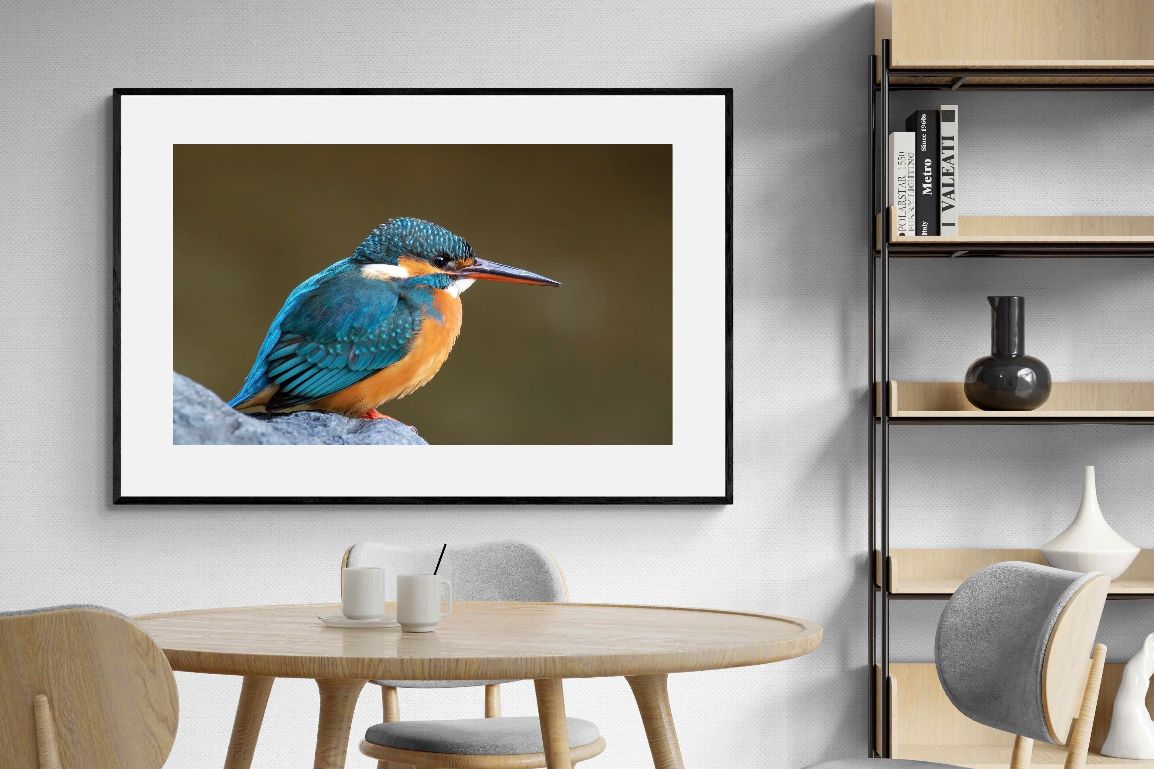 Pixalot Common Kingfisher