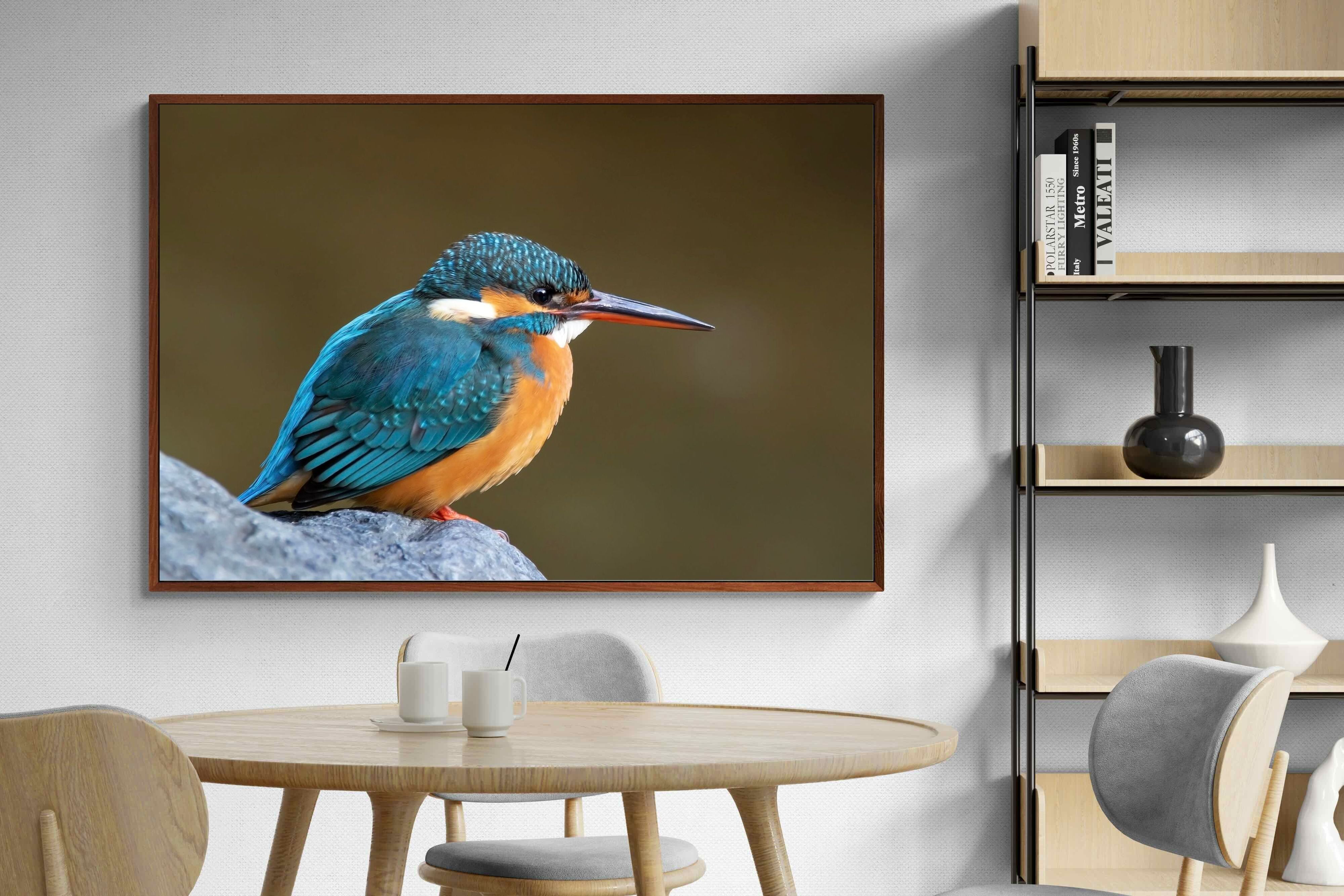 Pixalot Common Kingfisher