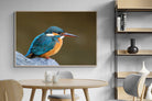 Pixalot Common Kingfisher