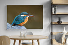 Pixalot Common Kingfisher