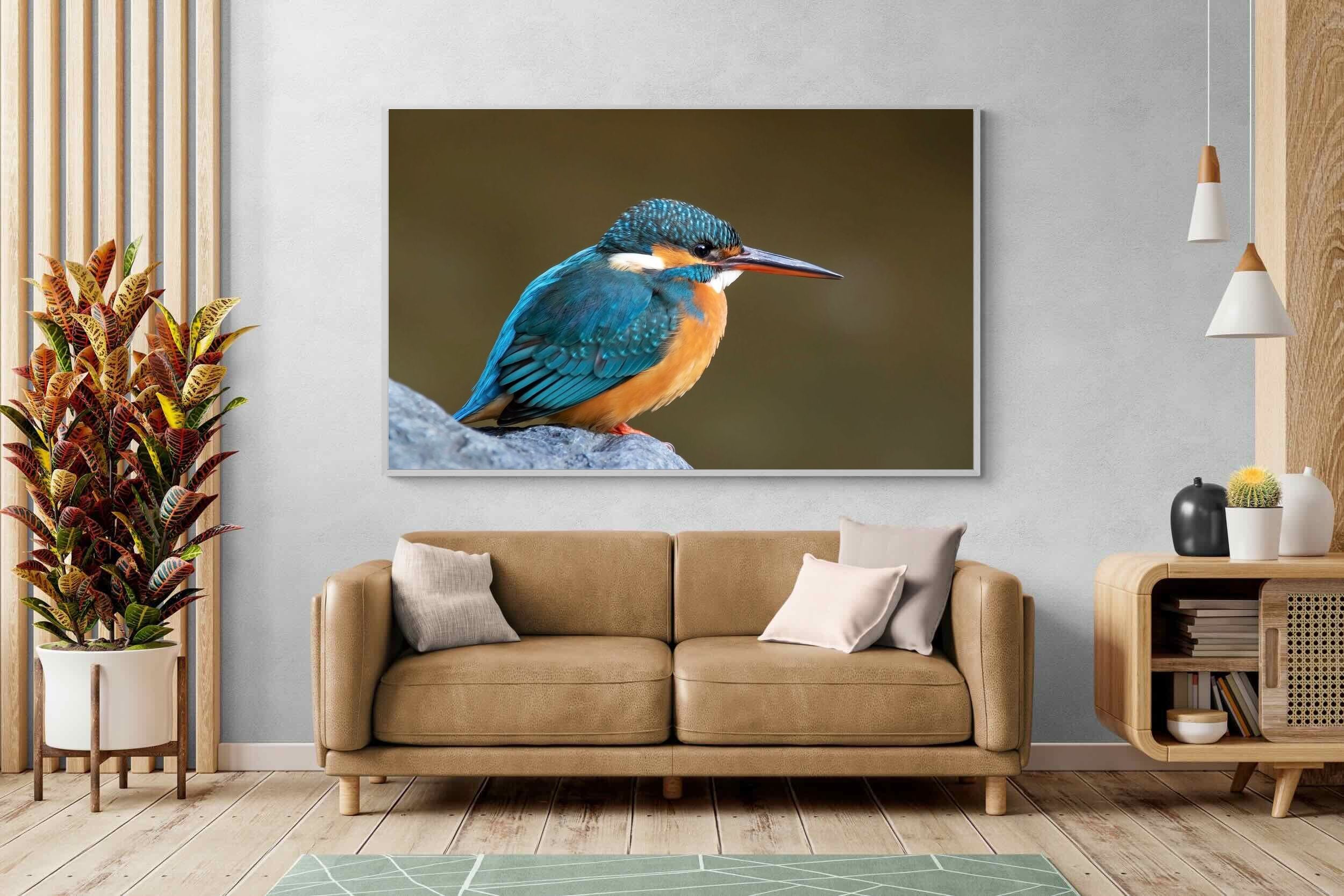 Pixalot Common Kingfisher