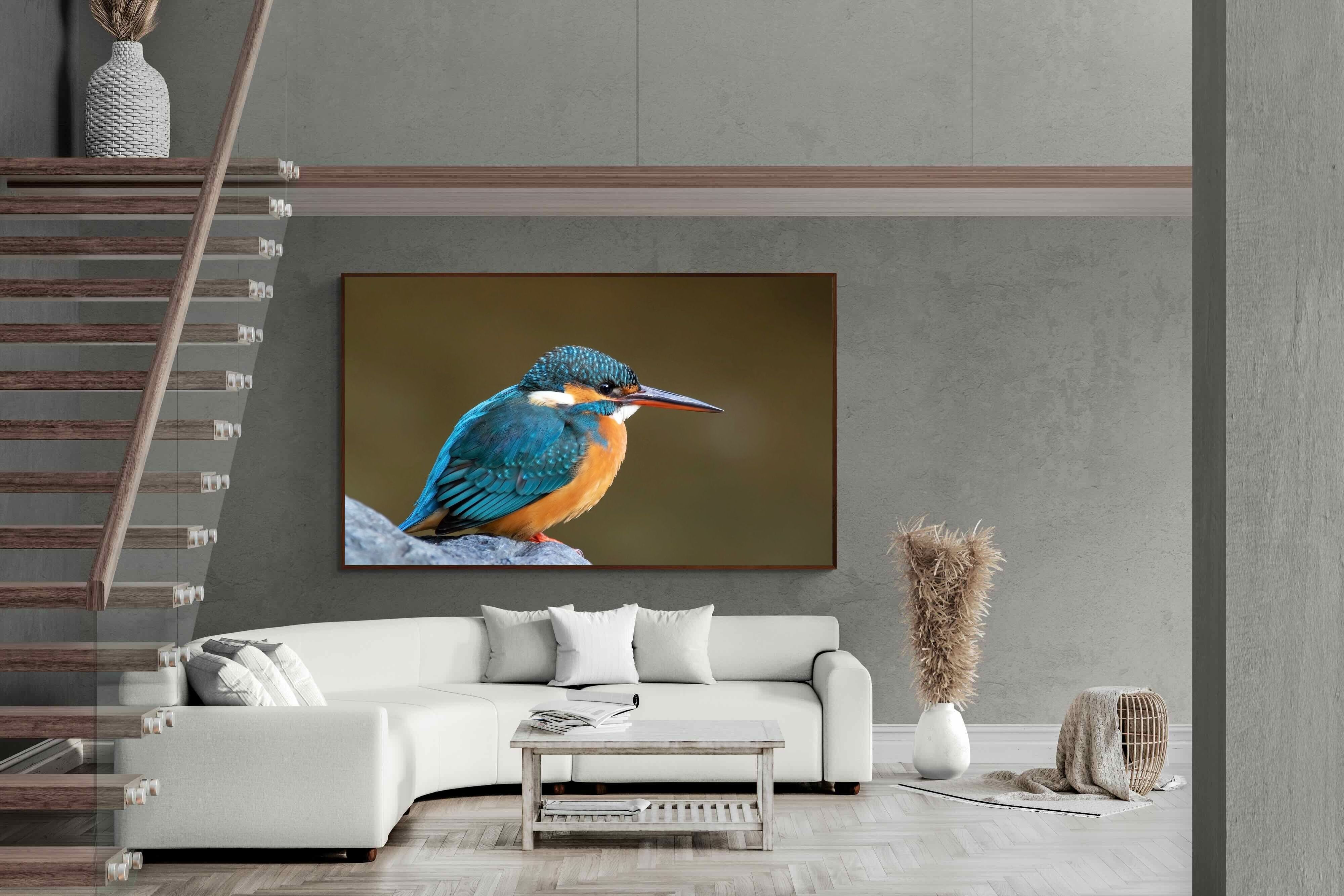 Pixalot Common Kingfisher