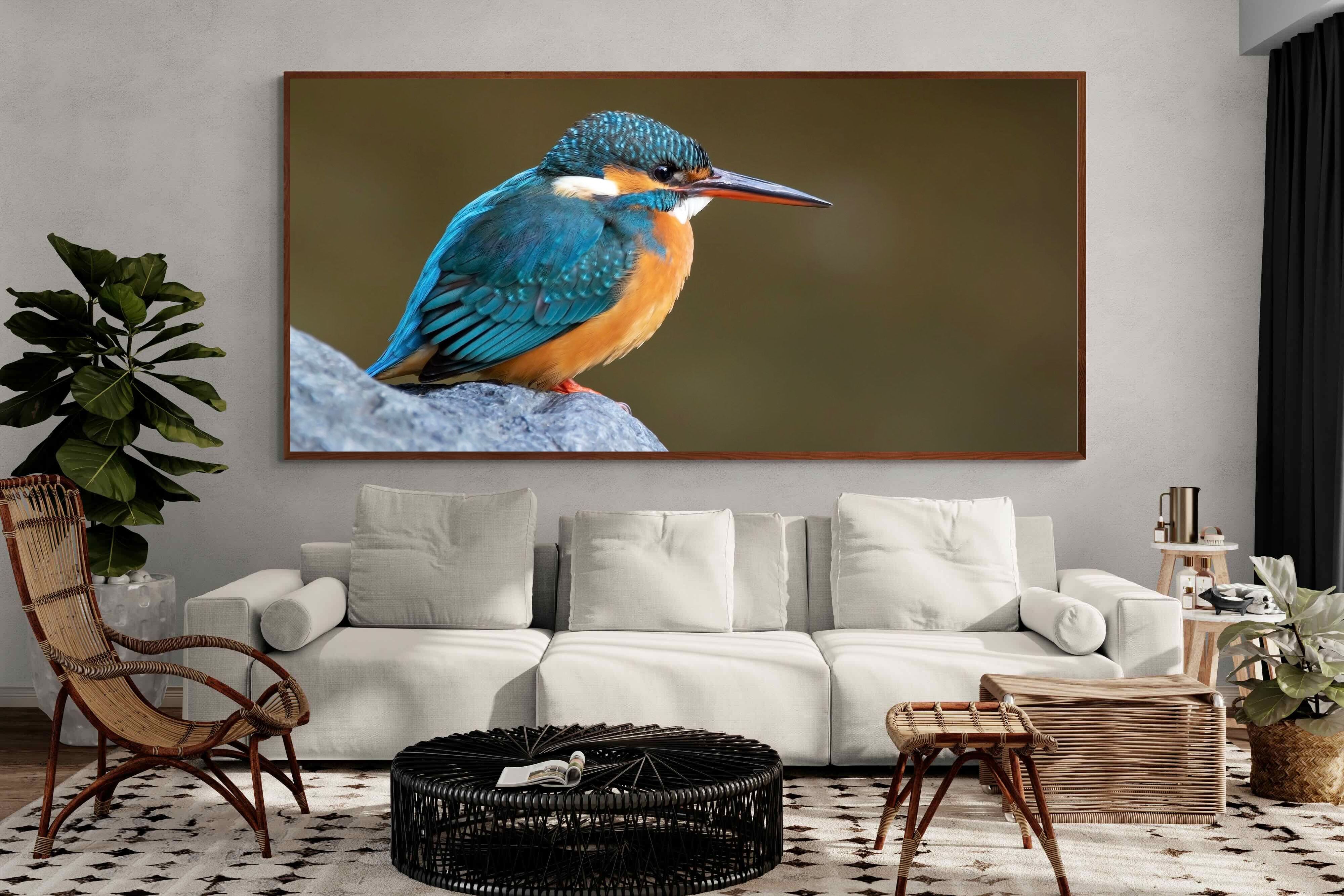 Pixalot Common Kingfisher