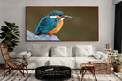 Pixalot Common Kingfisher
