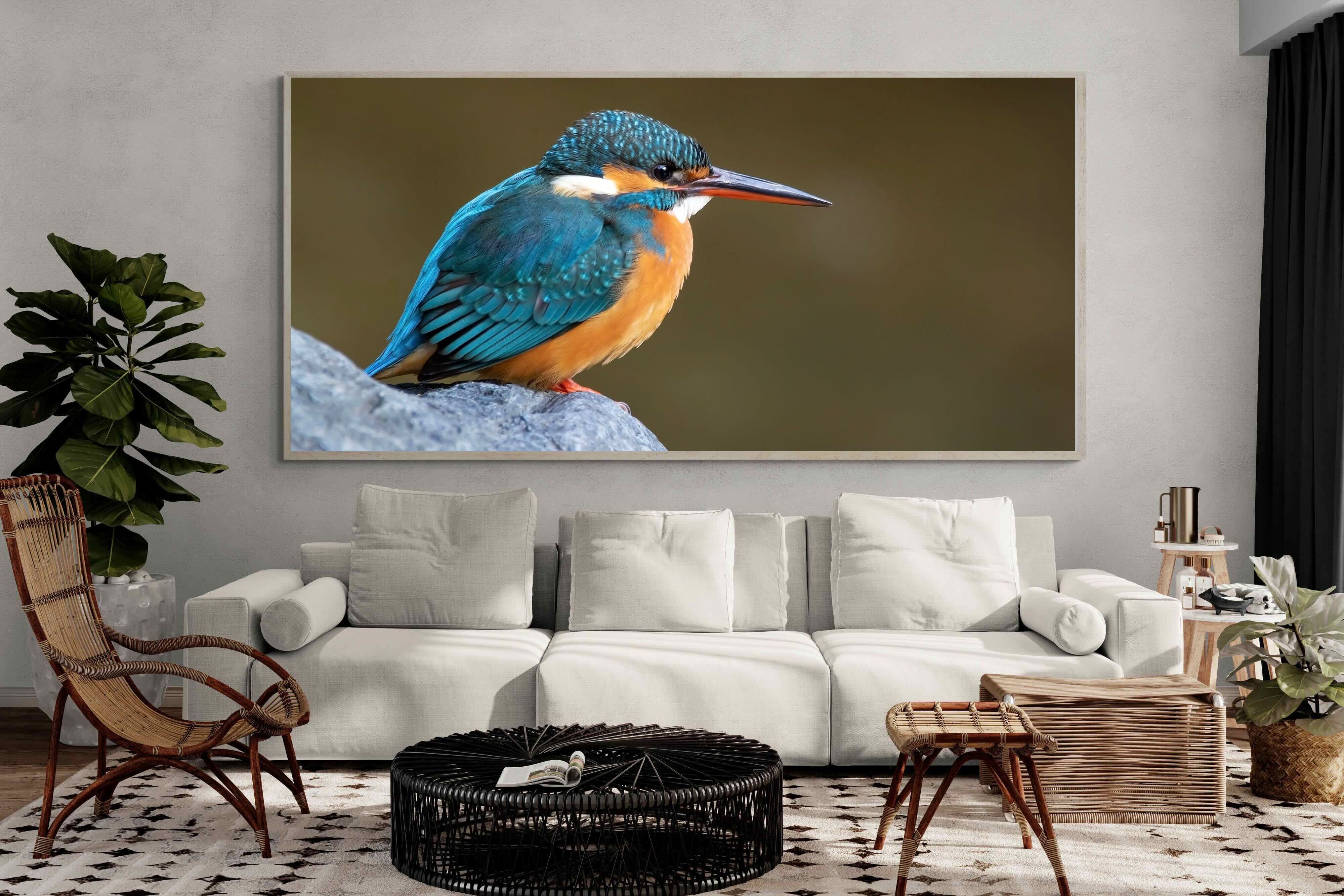 Pixalot Common Kingfisher