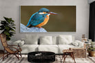Pixalot Common Kingfisher