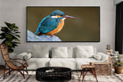 Pixalot Common Kingfisher