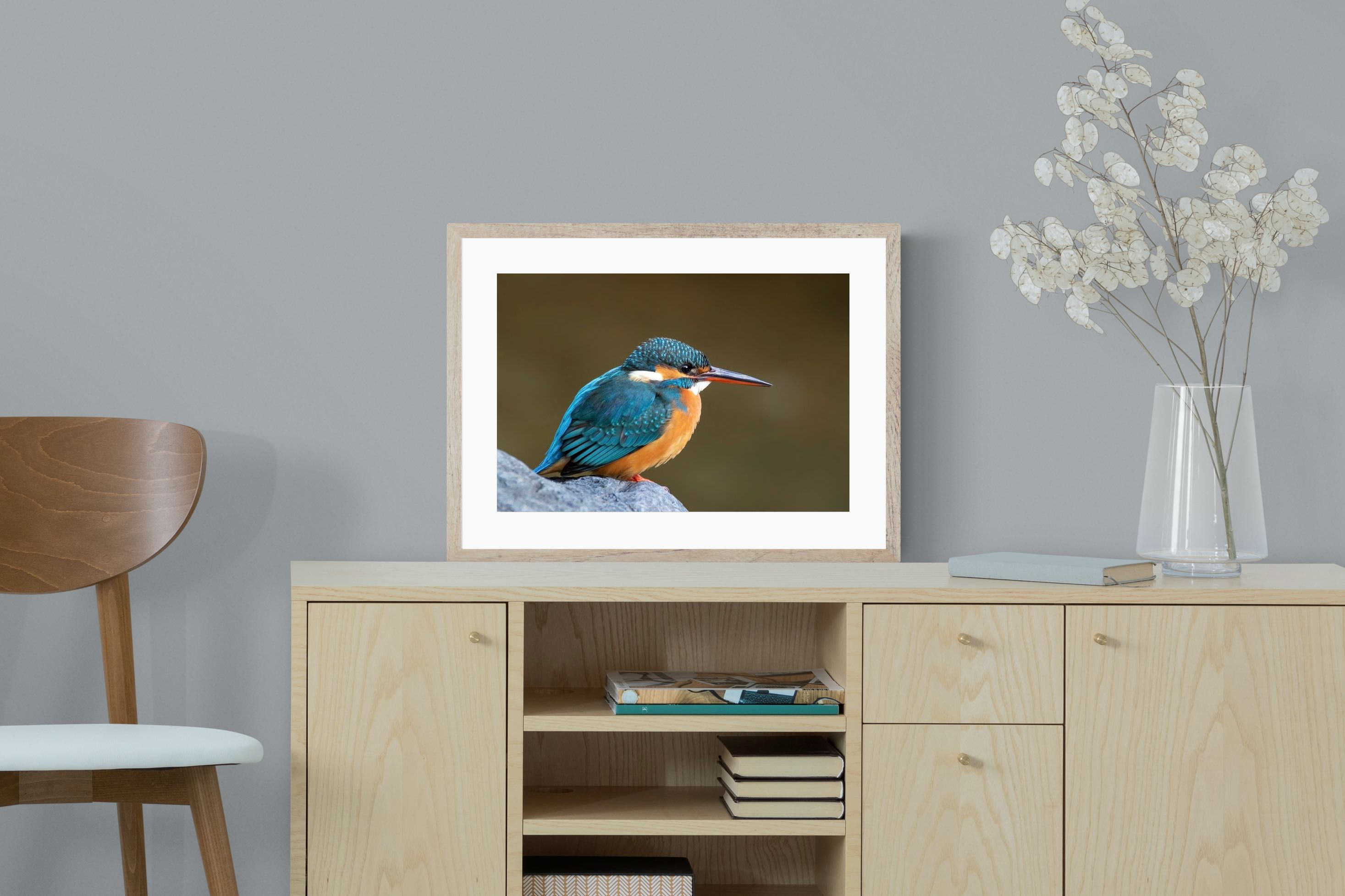 Pixalot Common Kingfisher