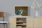 Pixalot Common Kingfisher