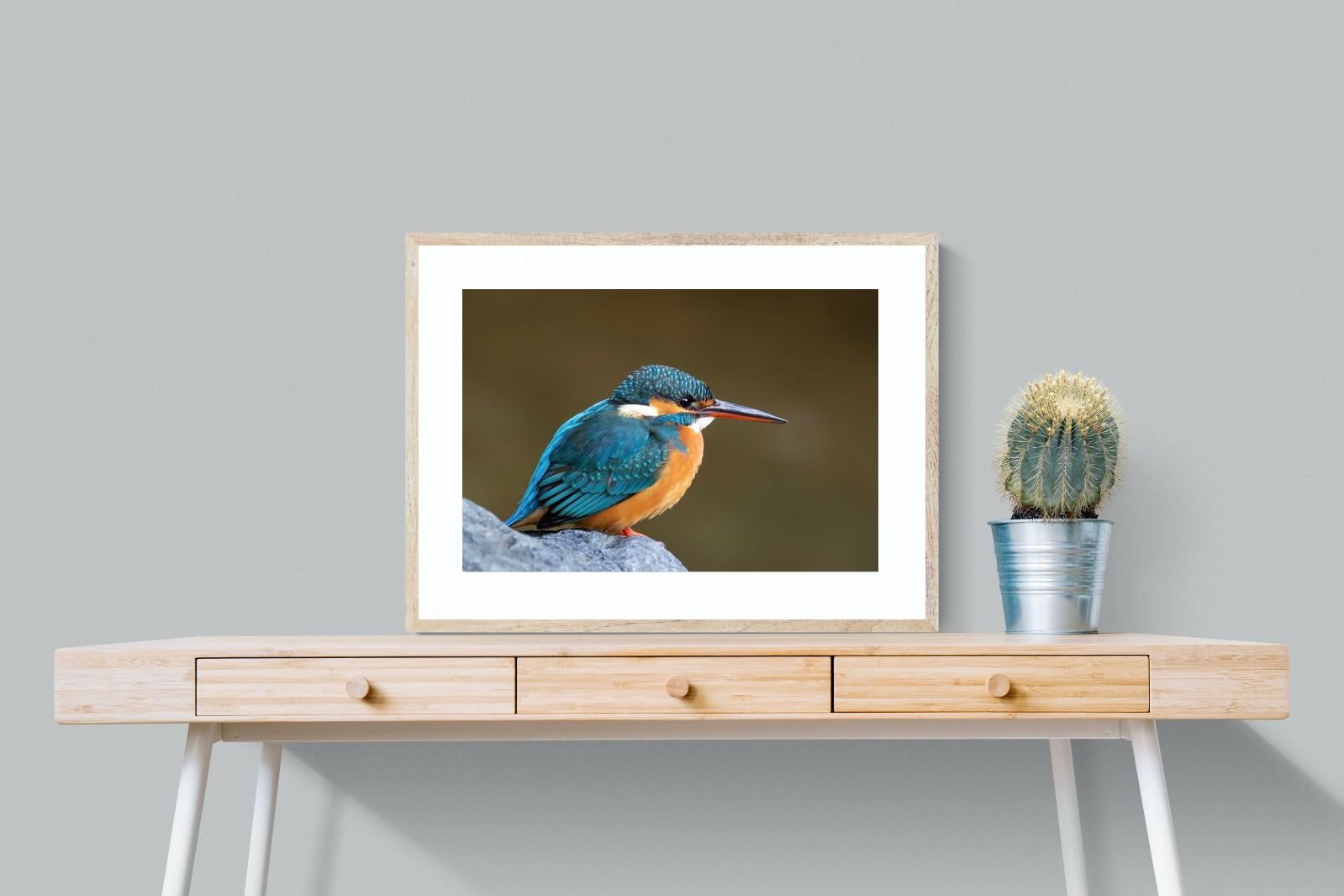 Pixalot Common Kingfisher