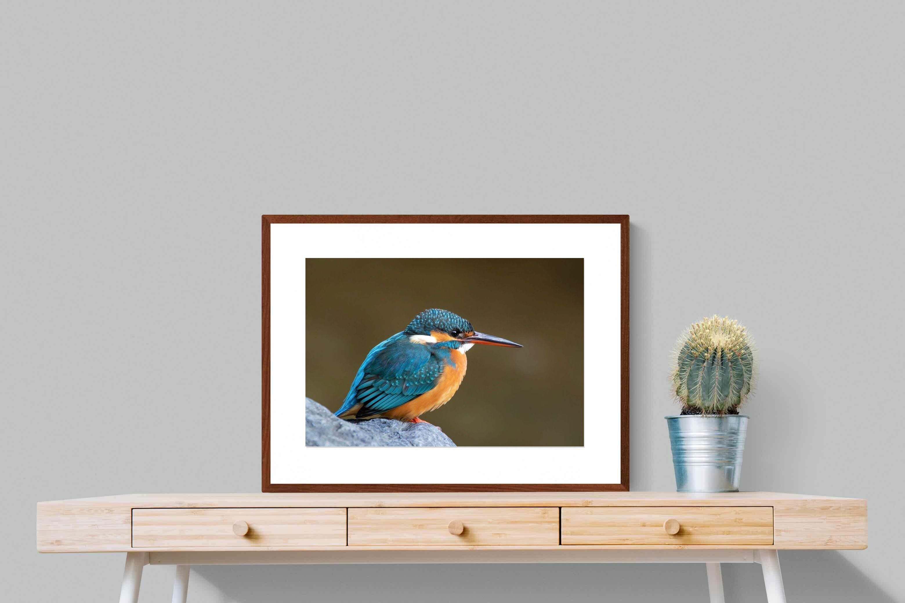 Pixalot Common Kingfisher