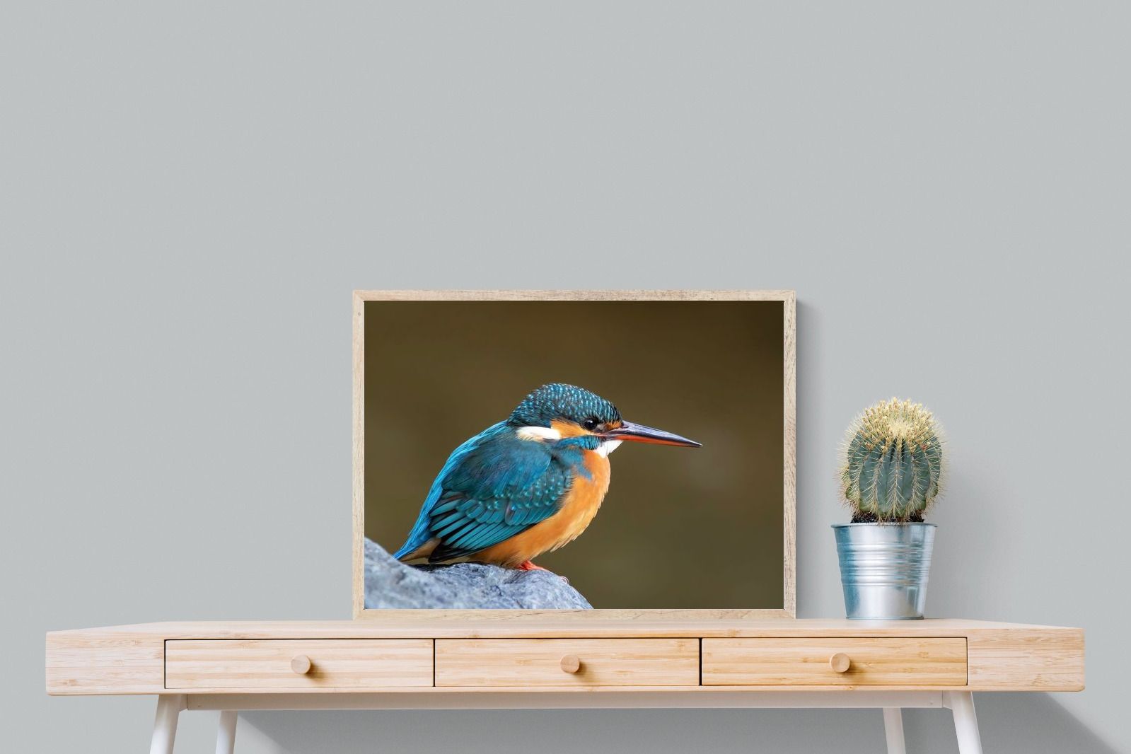 Pixalot Common Kingfisher