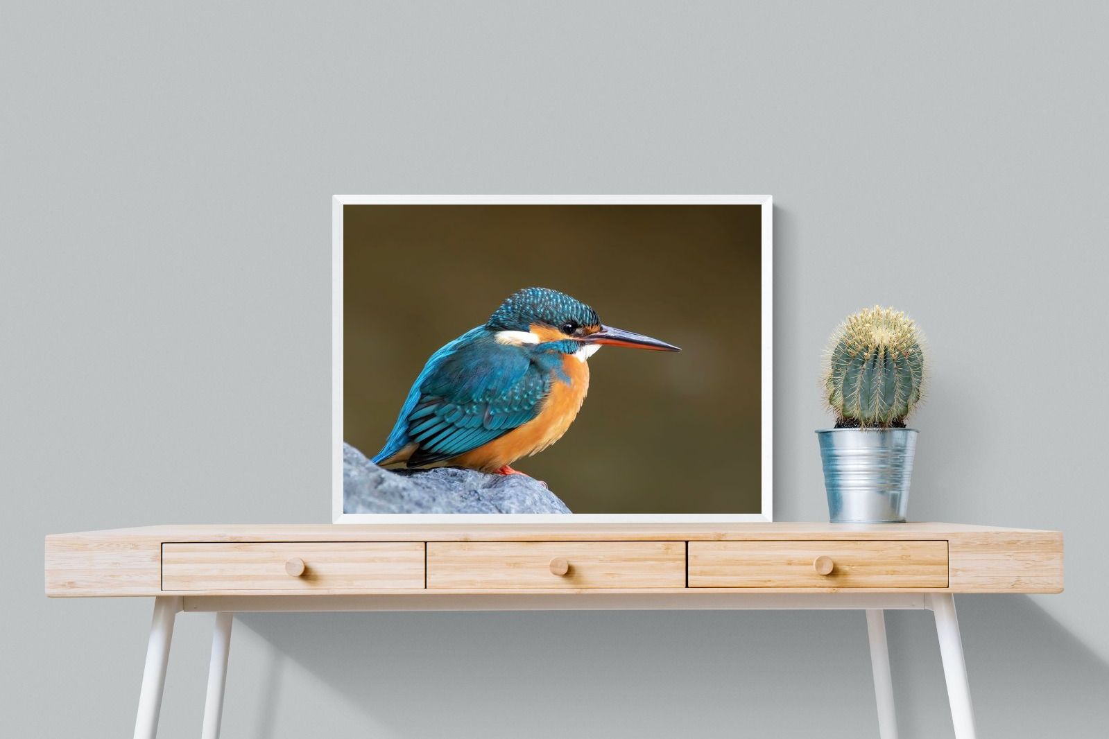 Pixalot Common Kingfisher