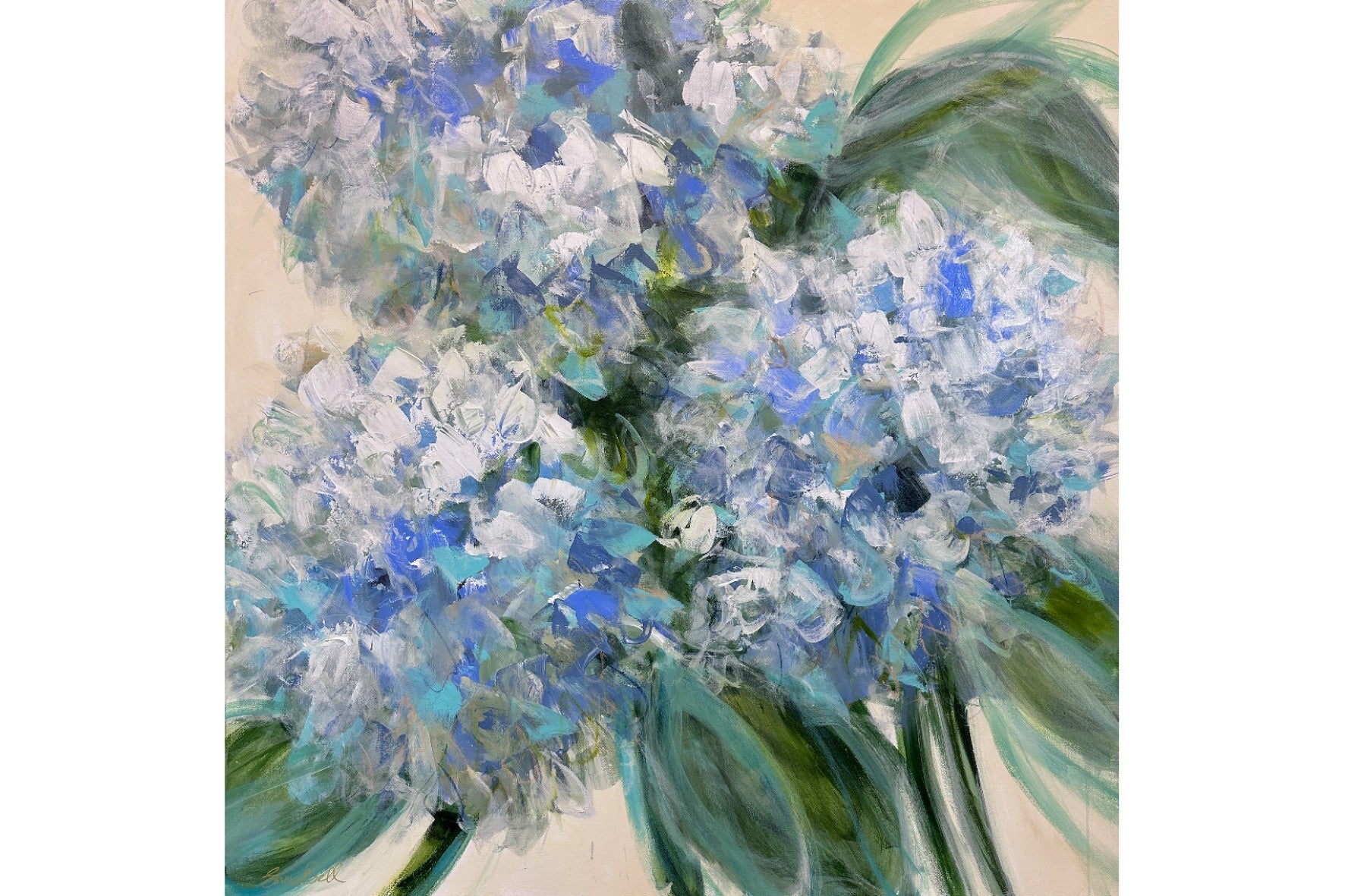 Cool Hydrangeas