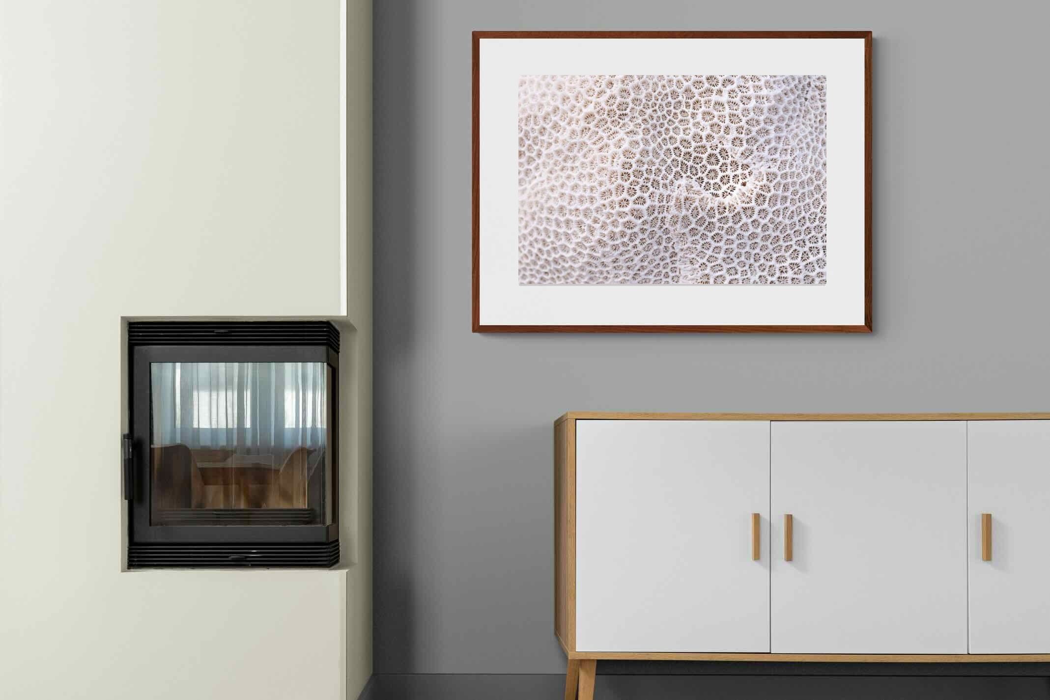 Pixalot ® Coral