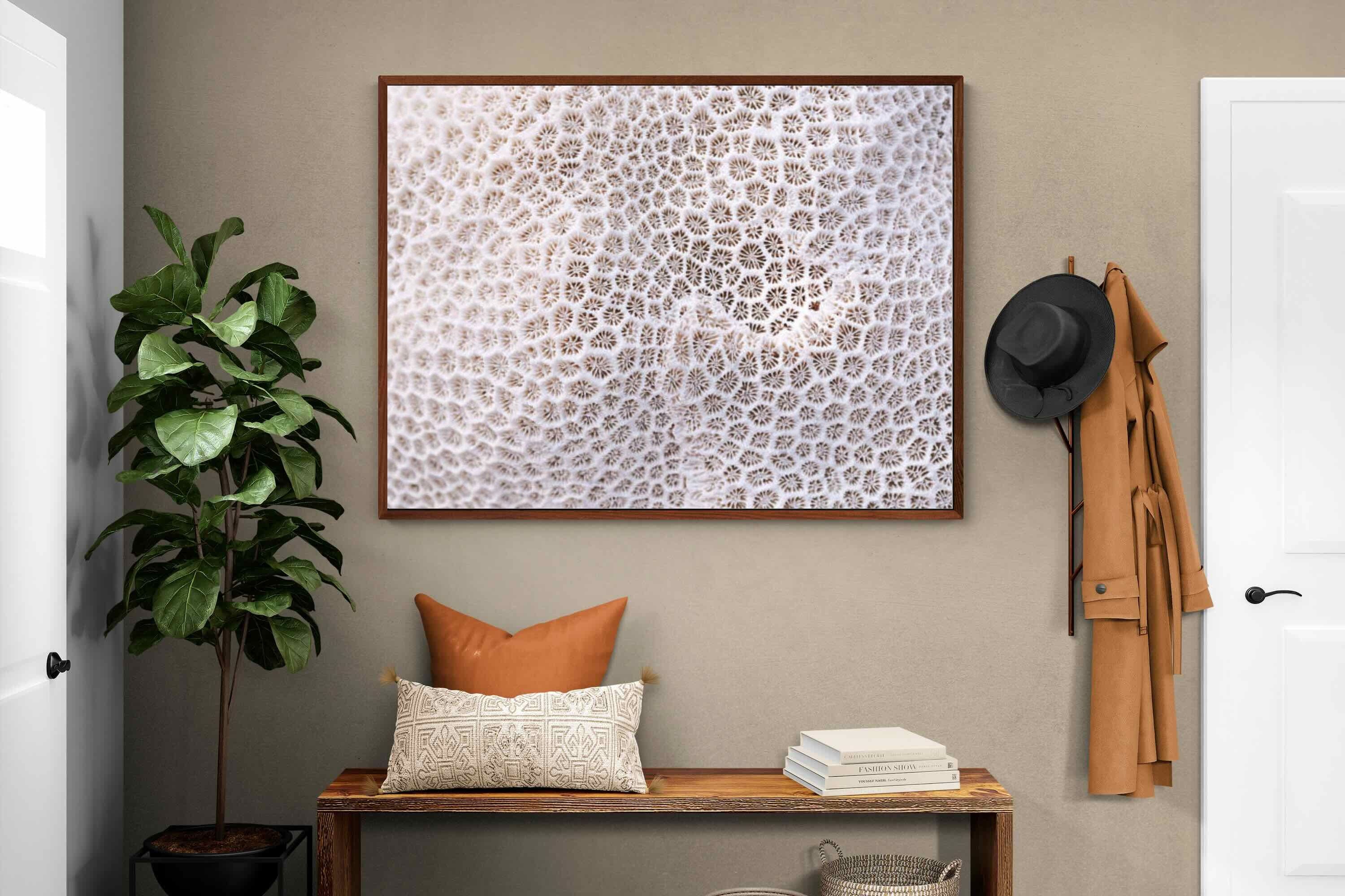 Pixalot ® Coral