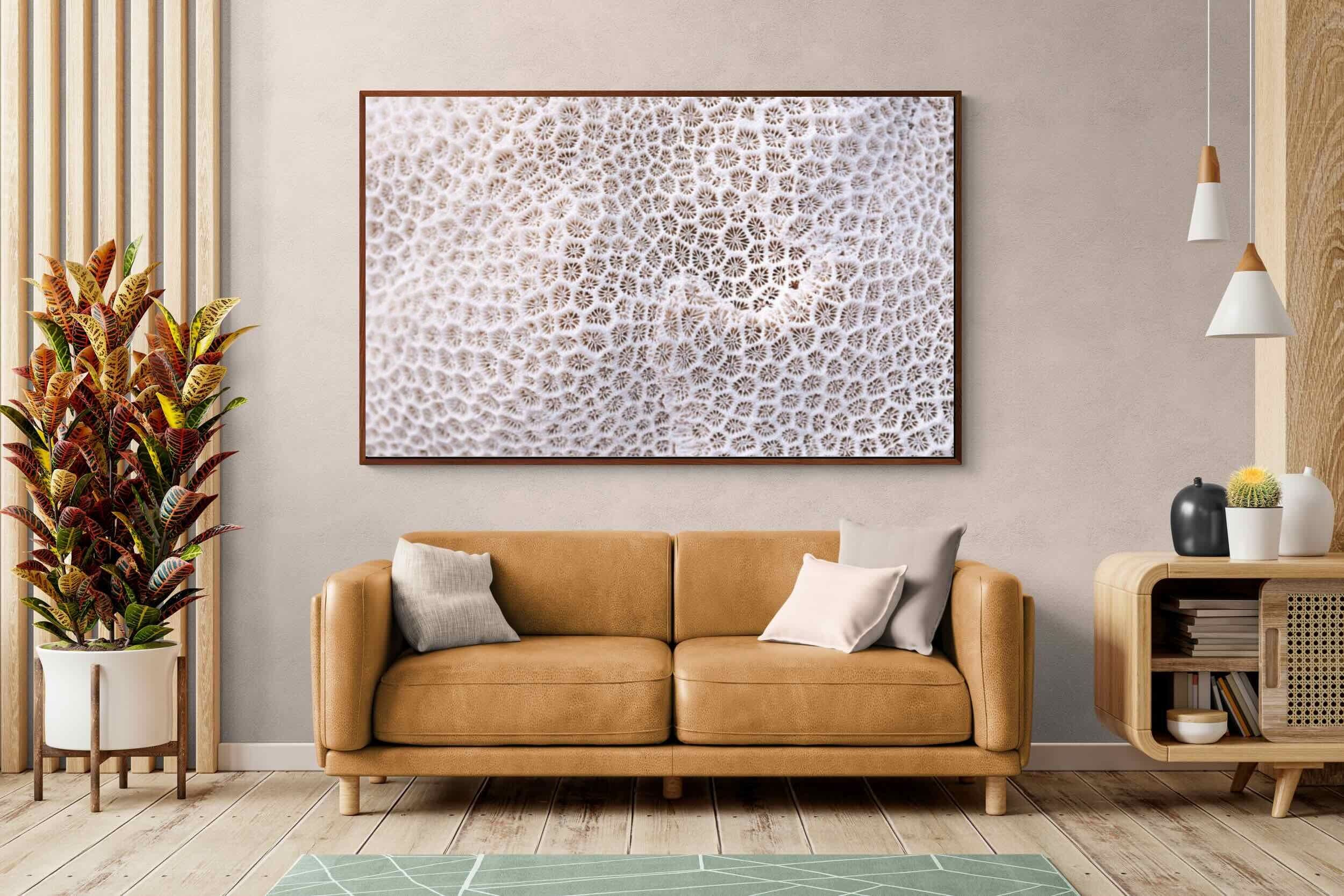 Pixalot ® Coral