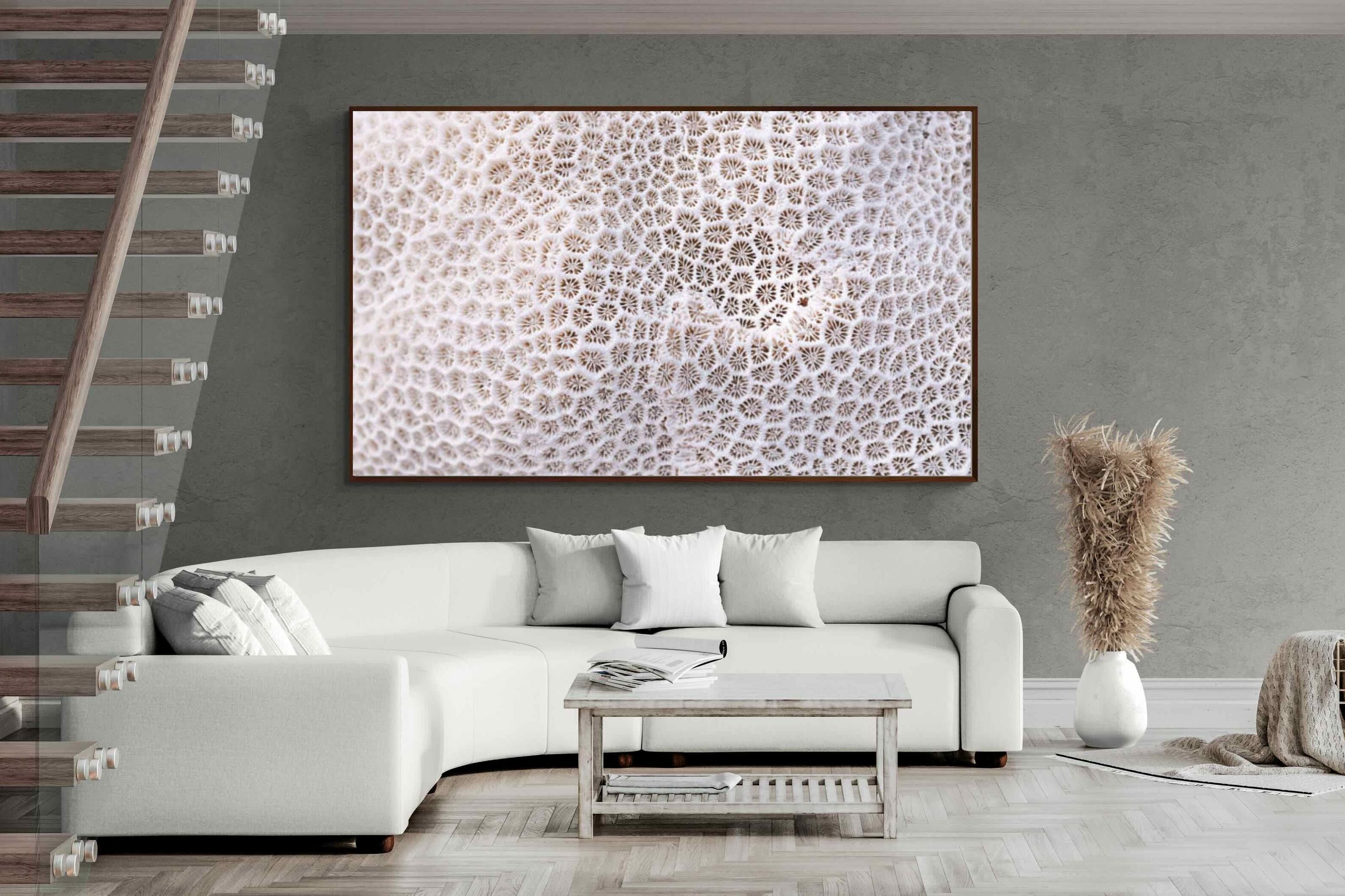 Pixalot ® Coral