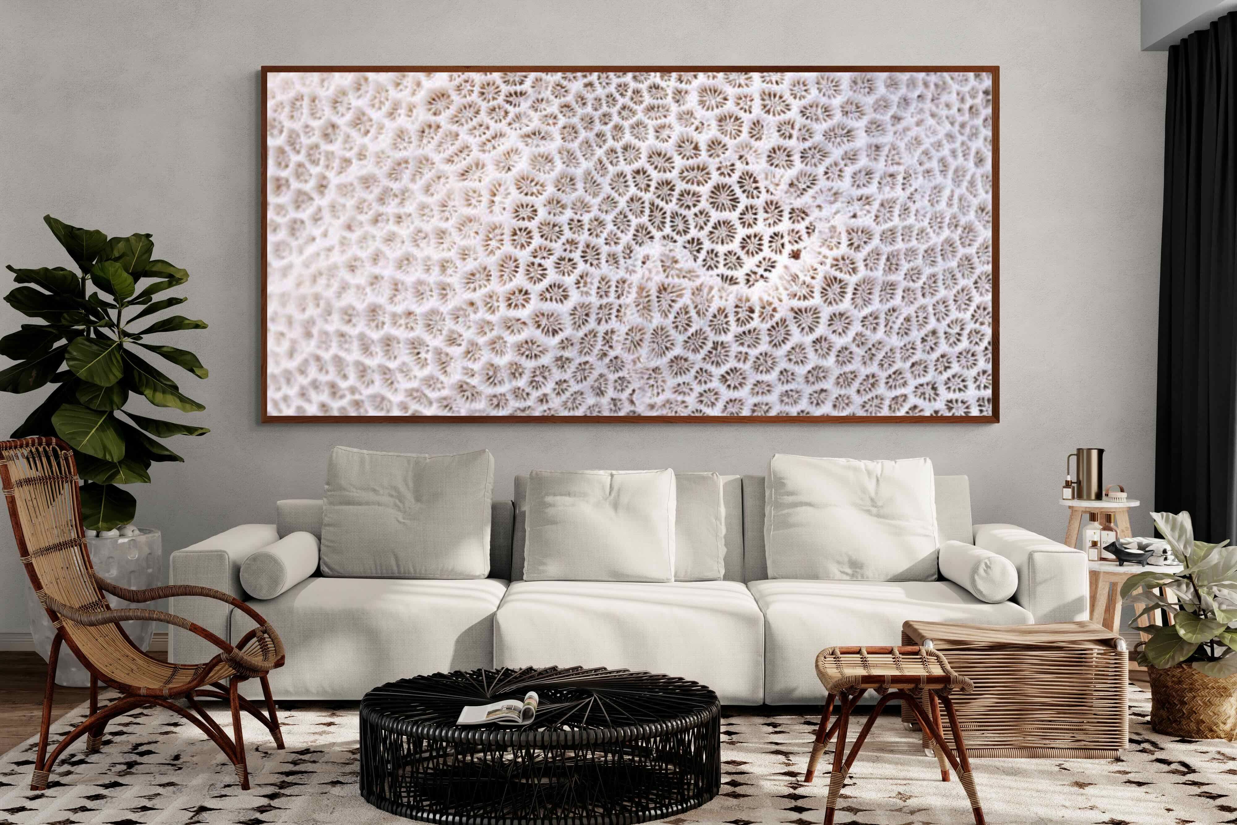 Pixalot ® Coral