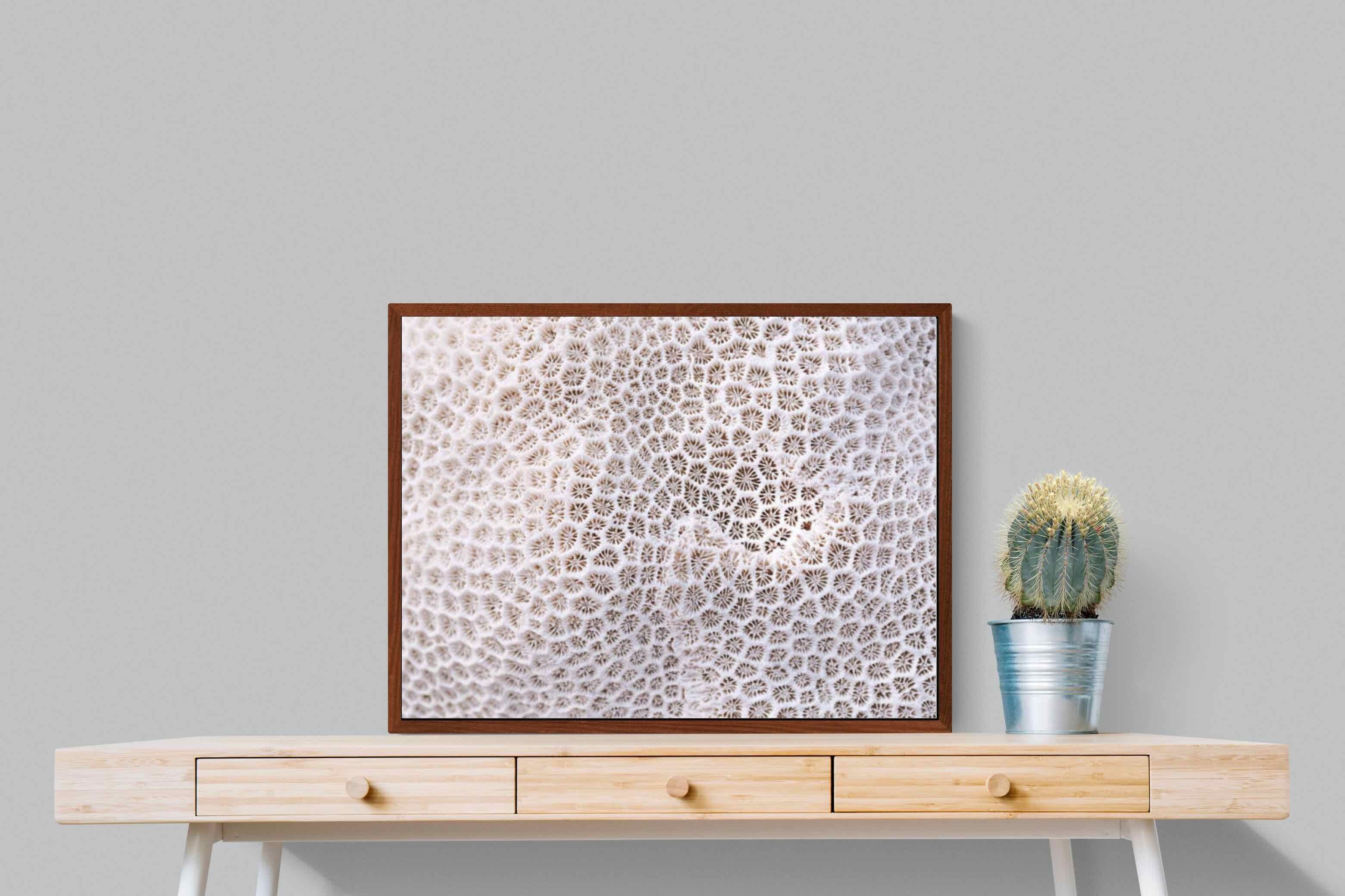 Pixalot ® Coral