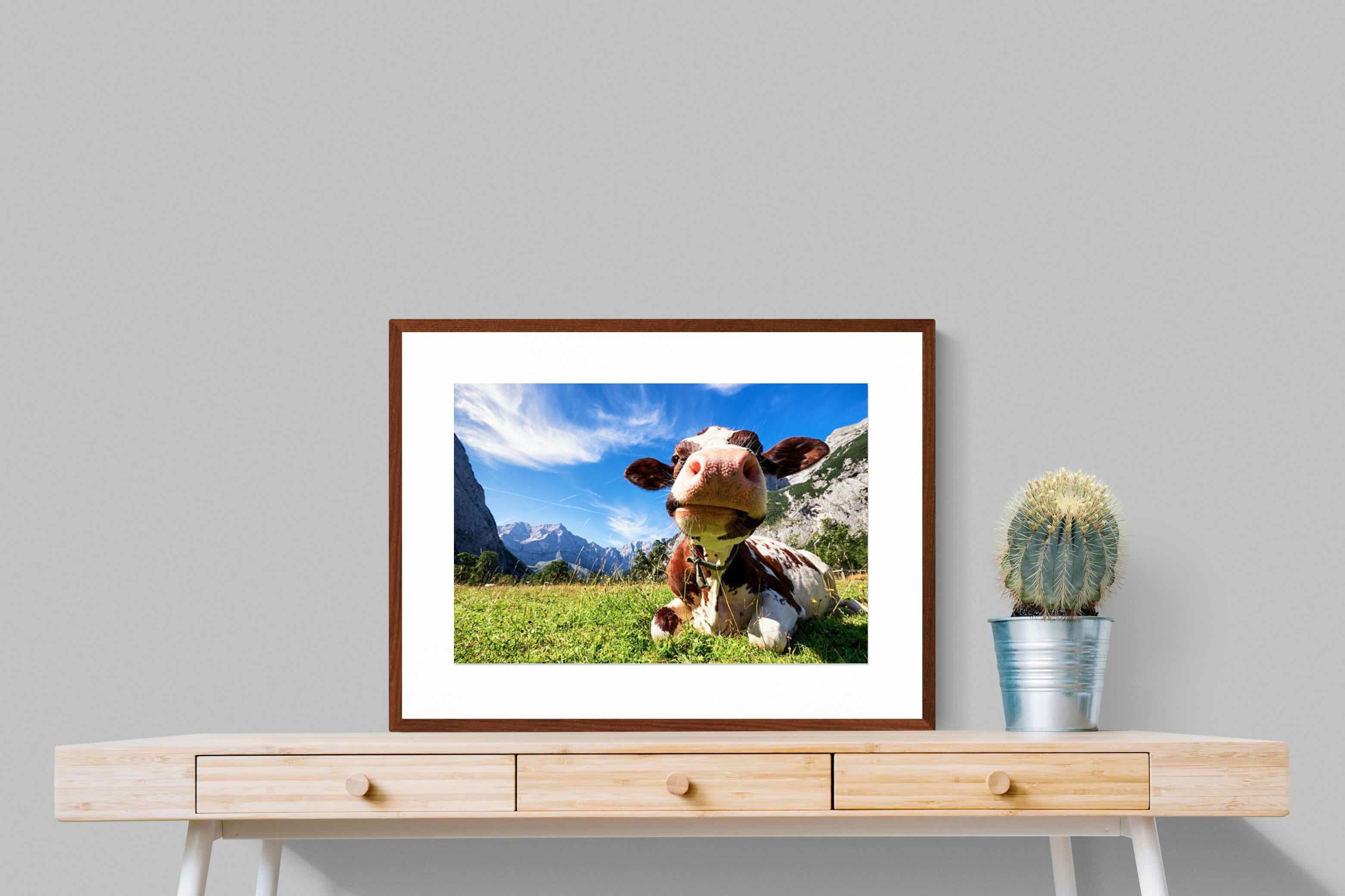 Pixalot ® Cow